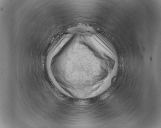 X0000053080664200508012007