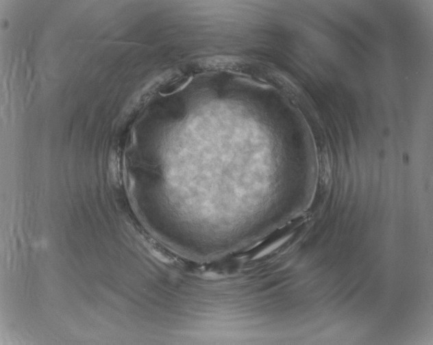 X0000053080669200508012008