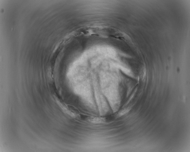 X0000053080670200508012008