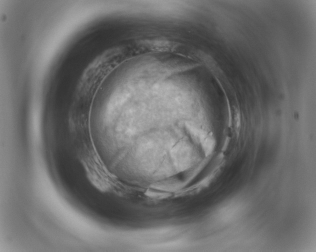 X0000053080671200508012008