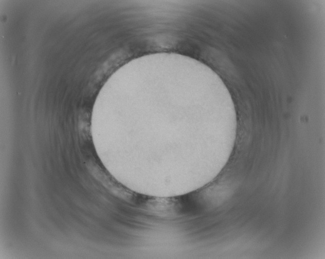 X0000053080672200508012008