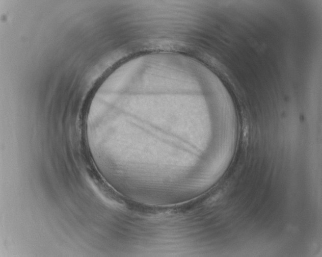 X0000053080674200508012007