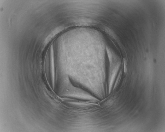 X0000053080675200508012007