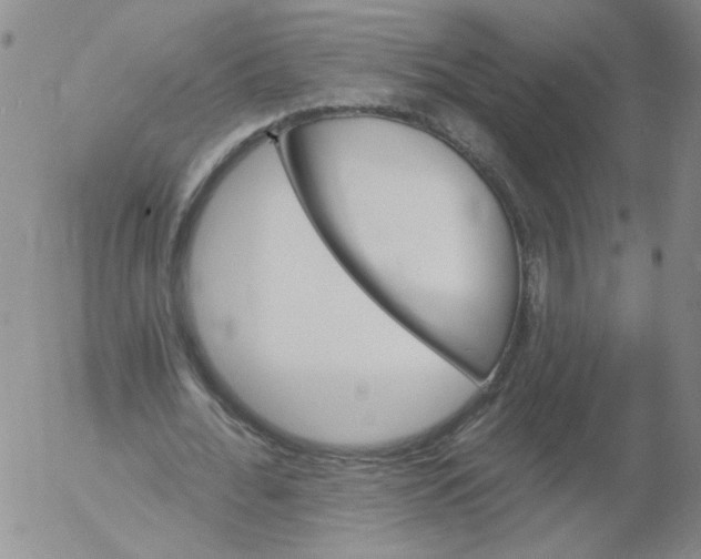 X0000053080676200508012007