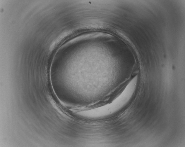 X0000053080677200508012007