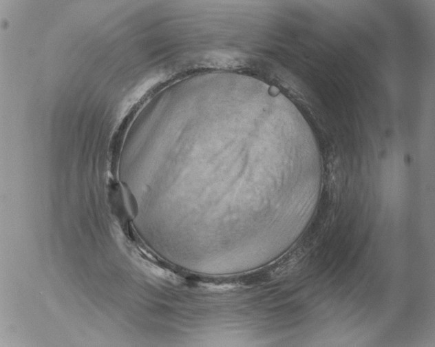 X0000053080679200508012007