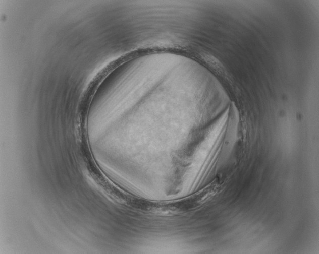 X0000053080680200508012007