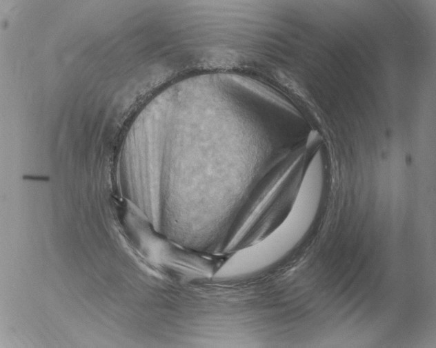 X0000053080681200508012007