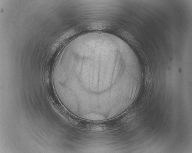 X0000053080683200508012007