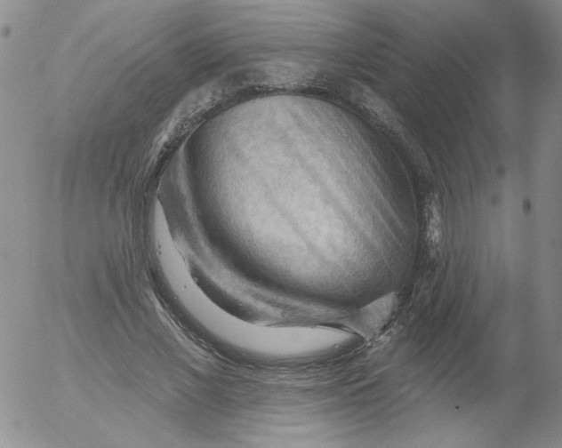 X0000053080685200508012007