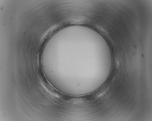 X0000053080686200508012006