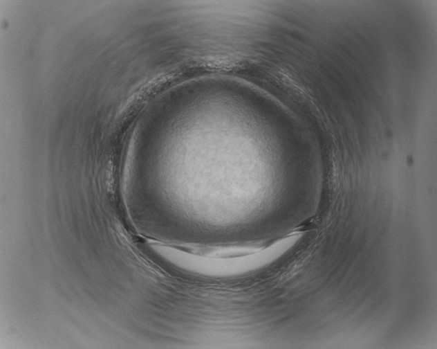 X0000053080689200508012006