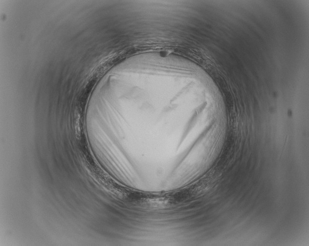 X0000053080692200508012006