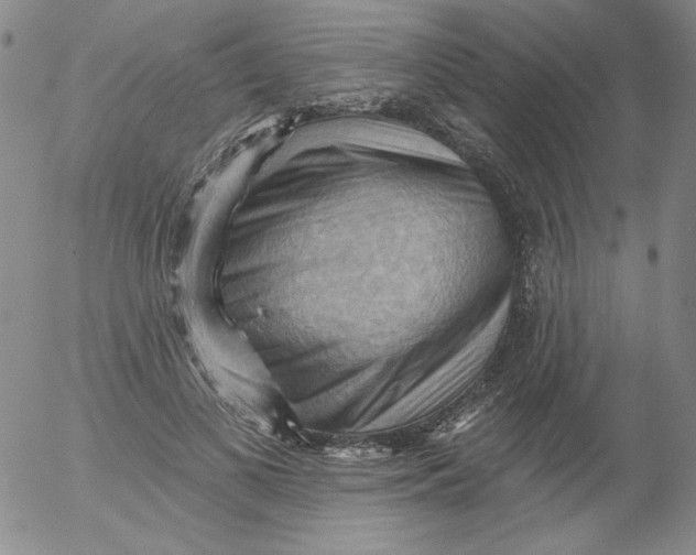 X0000053080693200508012006