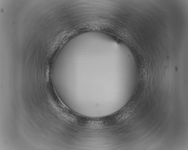 X0000053080694200508012006