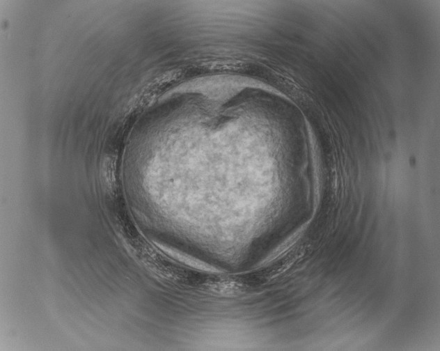 X0000053080695200508012006