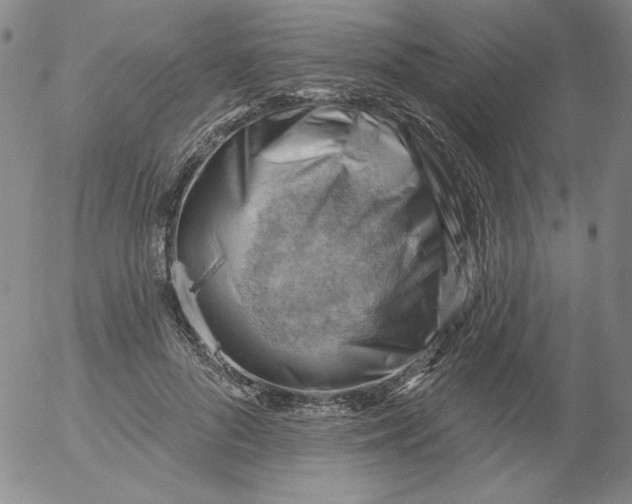 X0000053080696200508012006