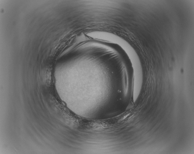 X0000053080697200508012006