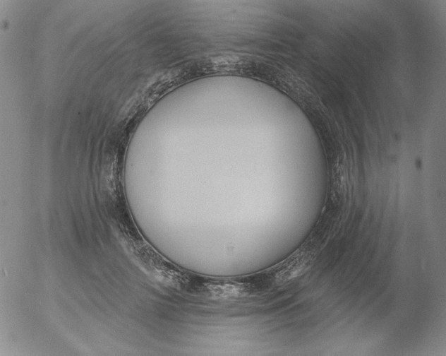 X0000053080698200508012006