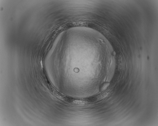 X0000053080699200508012006