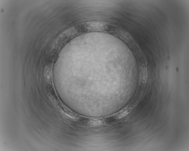 X0000053080701200508012006