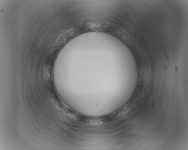 X0000053080702200508012006