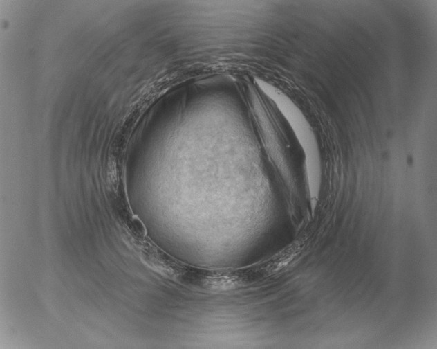 X0000053080704200508012006