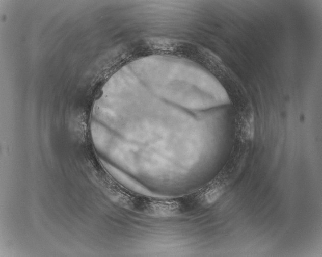 X0000053080707200508012006