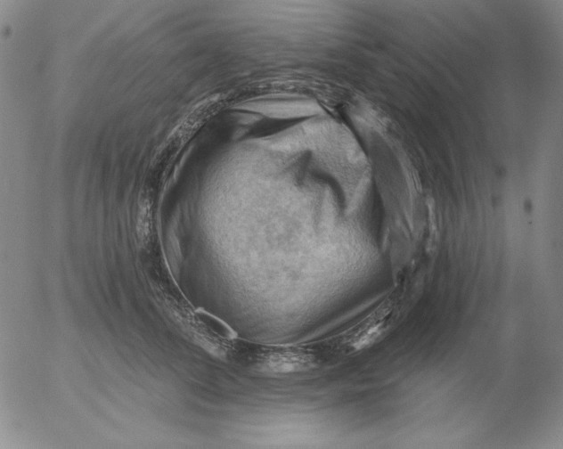 X0000053080708200508012006