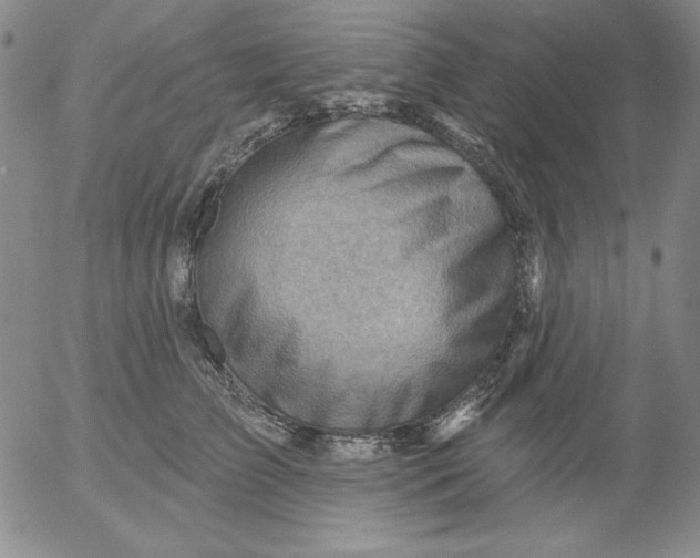 X0000053080709200508012006