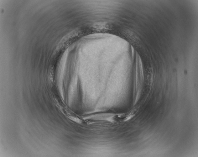 X0000053080710200508012006