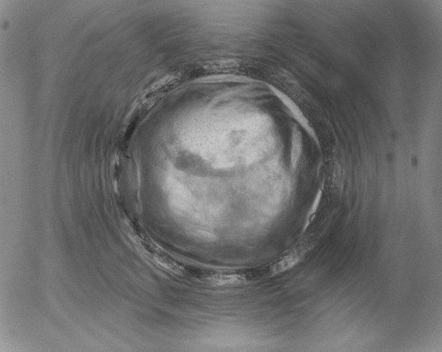 X0000053080711200508012006