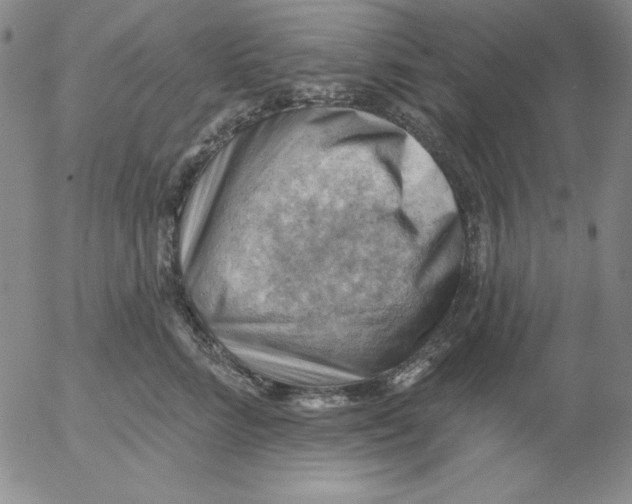 X0000053080712200508012006