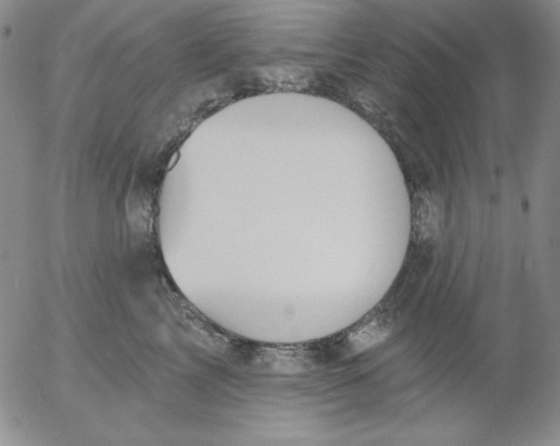 X0000053080713200508012006