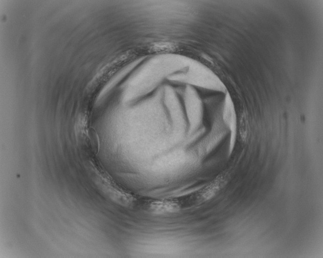 X0000053080714200508012006