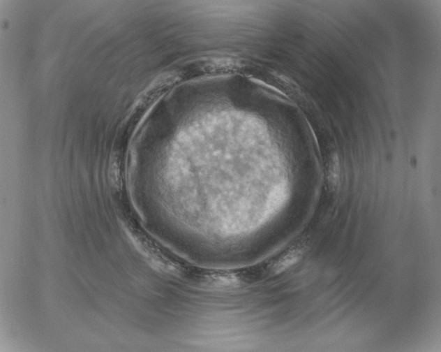 X0000053080715200508012006