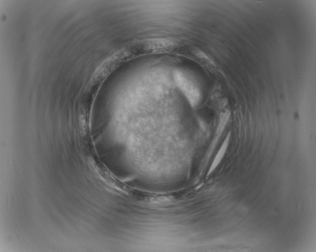 X0000053080716200508012006