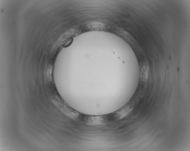 X0000053080717200508012006