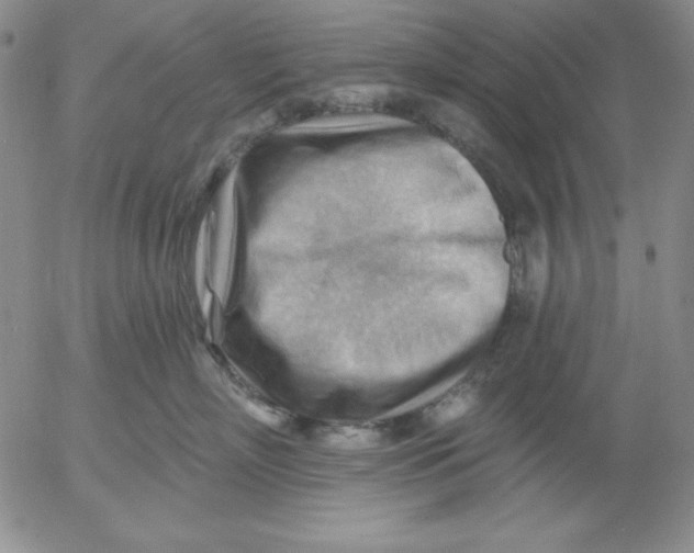 X0000053080718200508012006