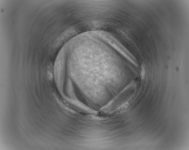 X0000053080719200508012006