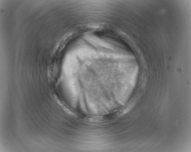 X0000053080720200508012006