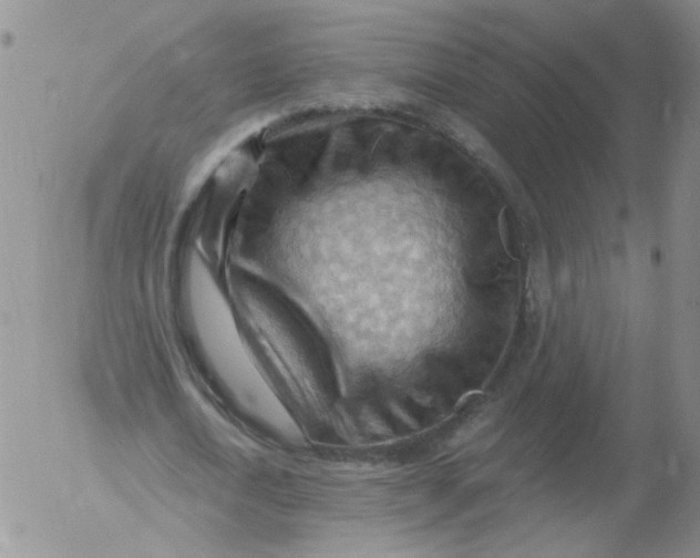 X0000053080722200508012005