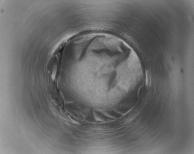 X0000053080723200508012005