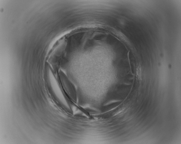 X0000053080724200508012005