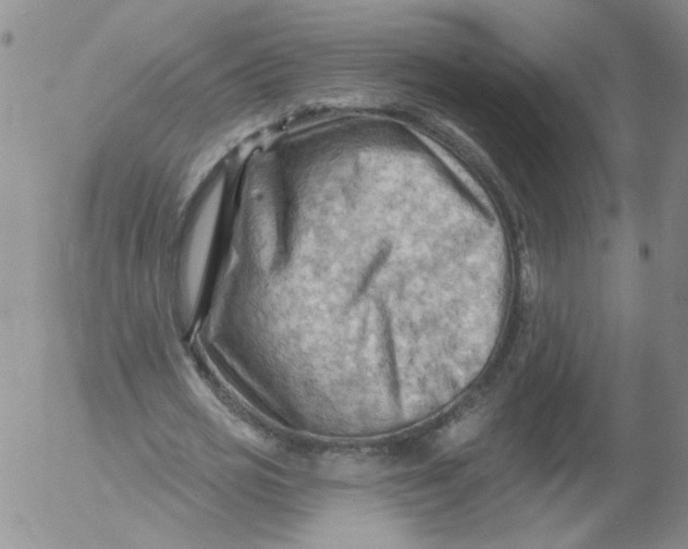 X0000053080725200508012005