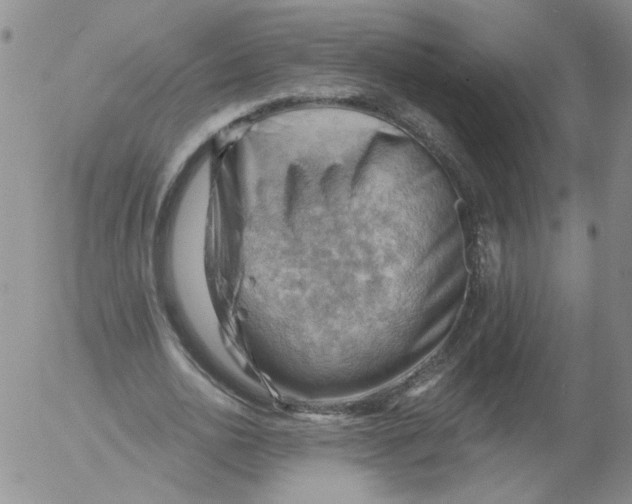 X0000053080726200508012005