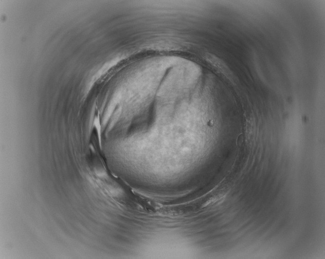 X0000053080727200508012005