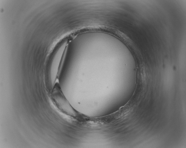 X0000053080728200508012005