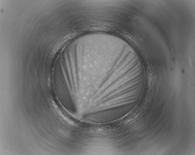 X0000053080729200508012005