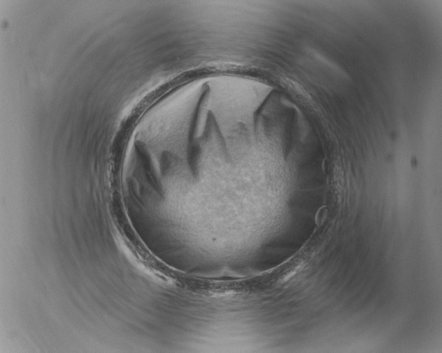 X0000053080730200508012005